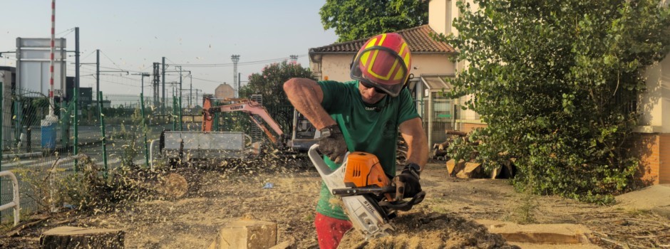 WhatsApp Image 2025-08-12 at 08.45.28.jpeg