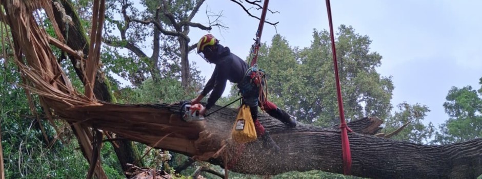 WhatsApp Image 2025-08-28 at 18.30.04 (1).jpeg