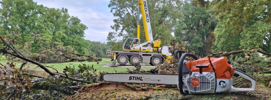 WhatsApp Image 2025-08-28 at 18.31.24 (3).jpeg