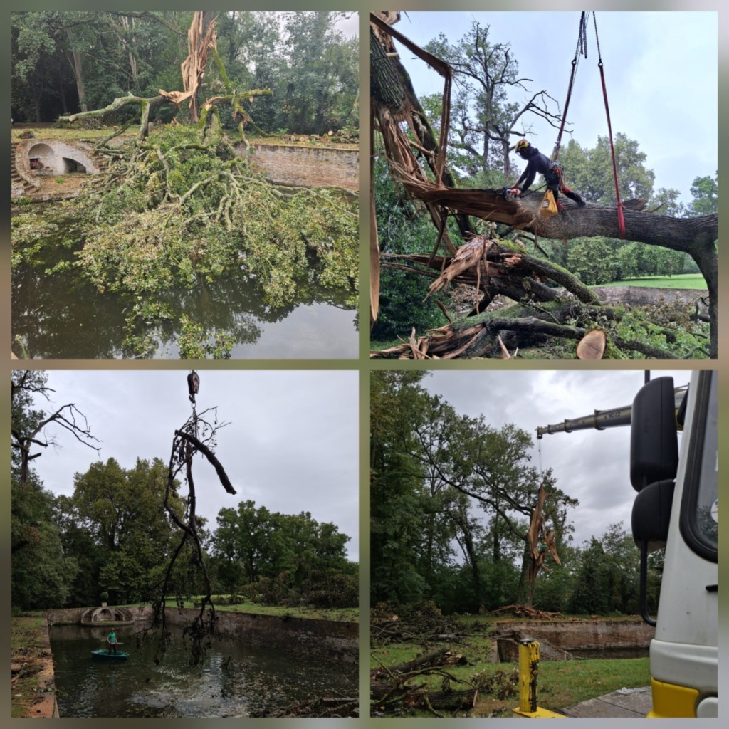 Travaux en urgence pour sécuriser le bassin du SECOURIEU à CINTEGABELLE