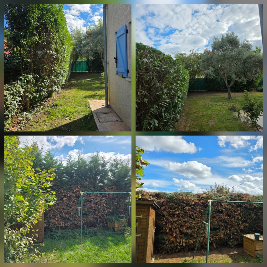 Rabattage de haies sur Toulouse