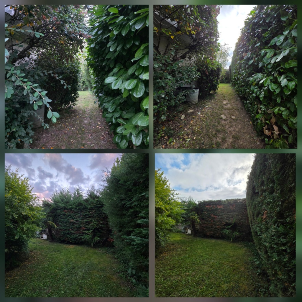 Tailles de haies sur Toulouse