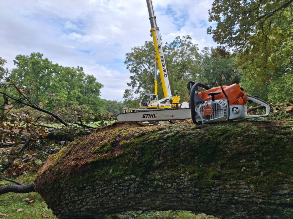 STHIL MS881 en guide de 900 mm